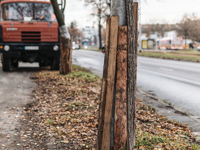 23. ul. Kościuszki (28.11.2019)